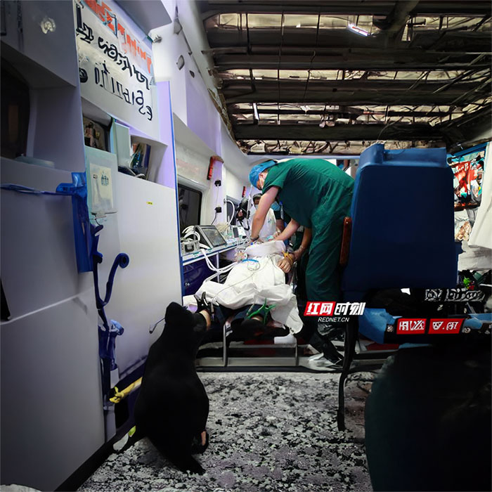 河南郑州市新密租赁私人救护车转运到河南弘大心血管病医院 转院救护车出租要多少钱