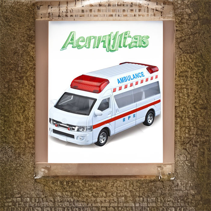 郑州惠济区救护车出租服务租赁到商丘市夏邑县急救车租车收费